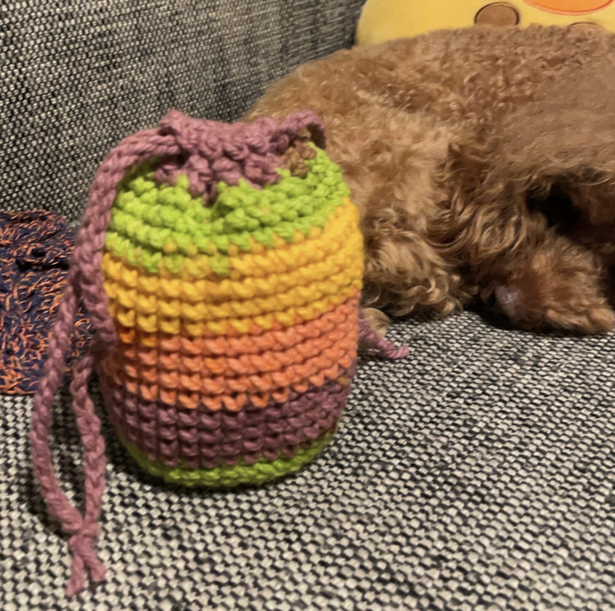 きんちゃく（Cake）