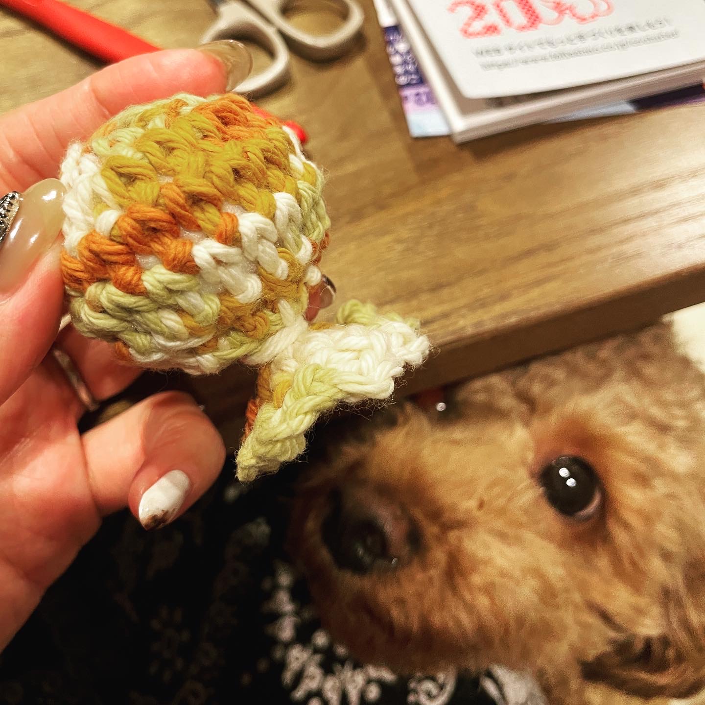 わんこ用キャンディボール