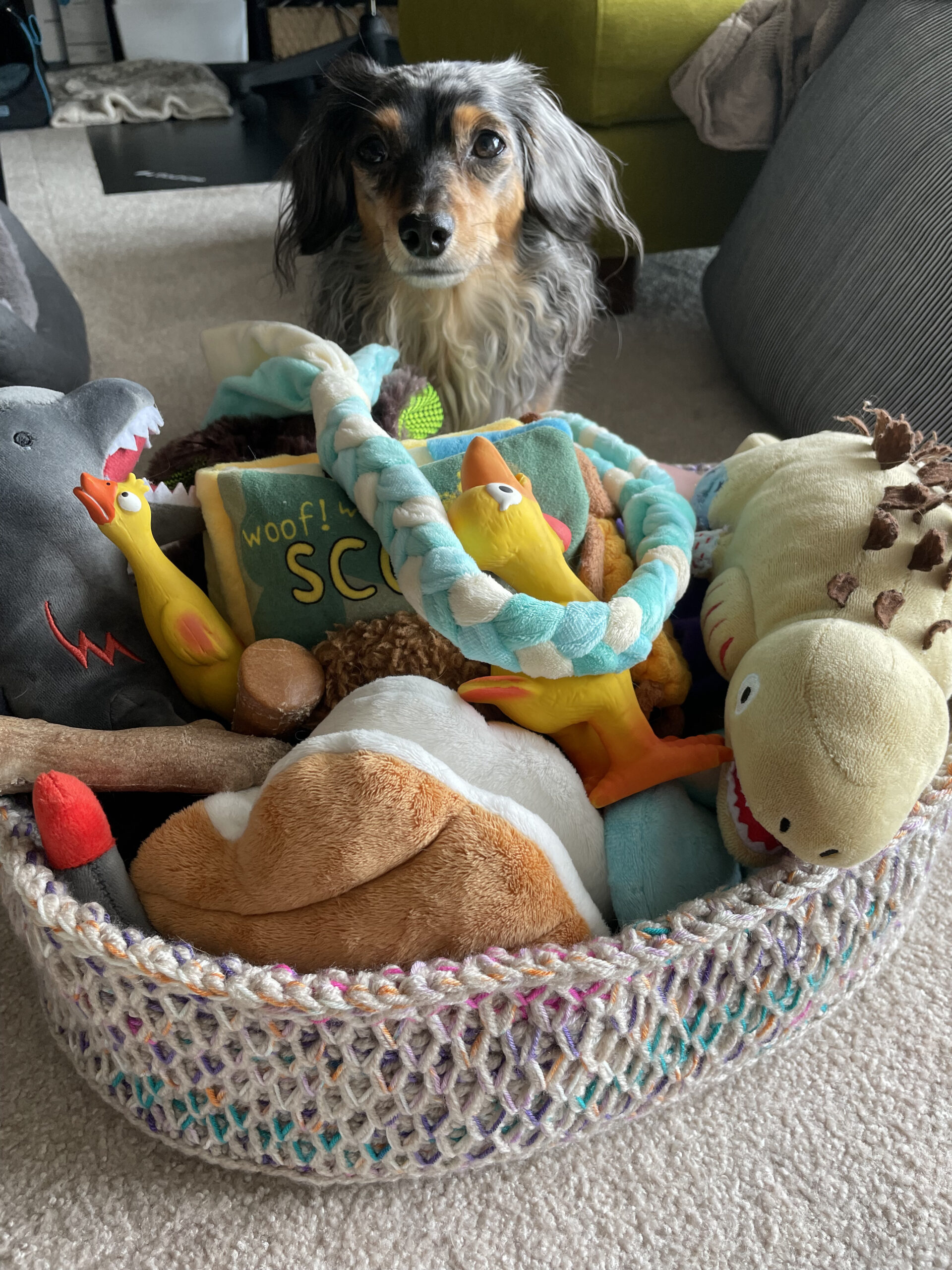 犬のおもちゃ入れバスケット
