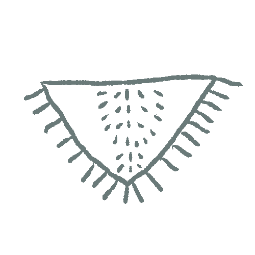 ショール・ストール